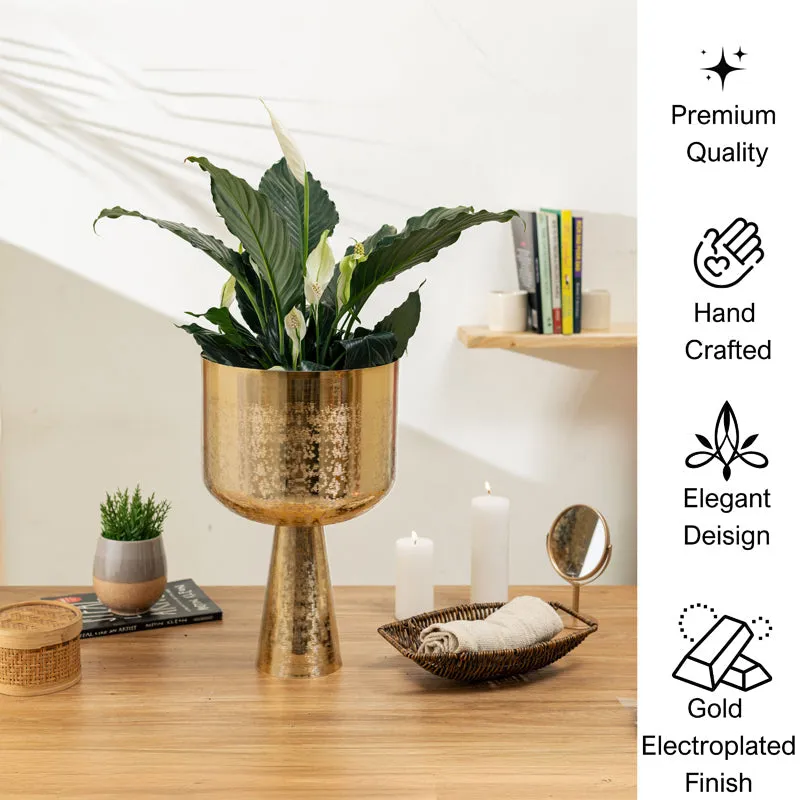Textura Aureme Planter media 5