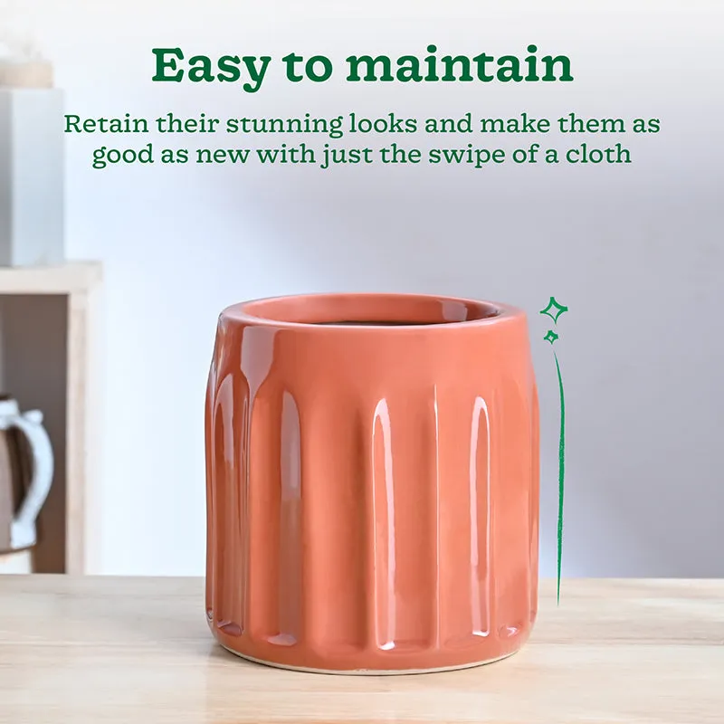 Ugaoo Straits Ceramic Planter - Coral media 4