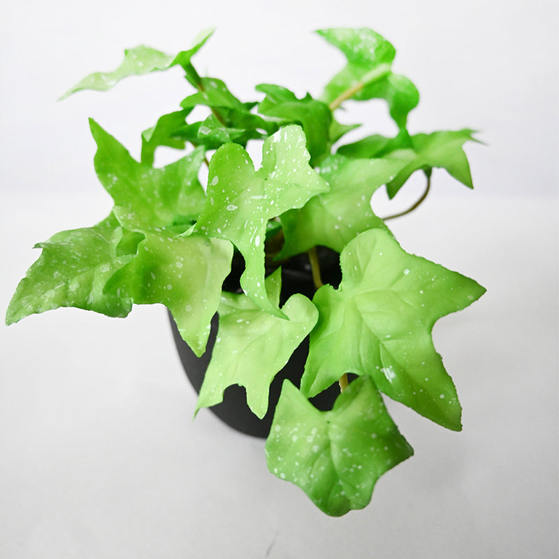 Ivella Artificial Mini Ivy Plant With Basic Black Plastic Pot (Light Green) - 14 cm media 5
