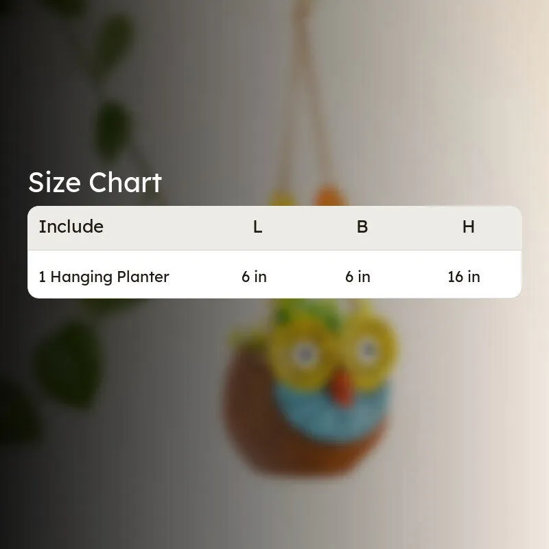 Hoot Pose Handpainted Hanging Planter media 10