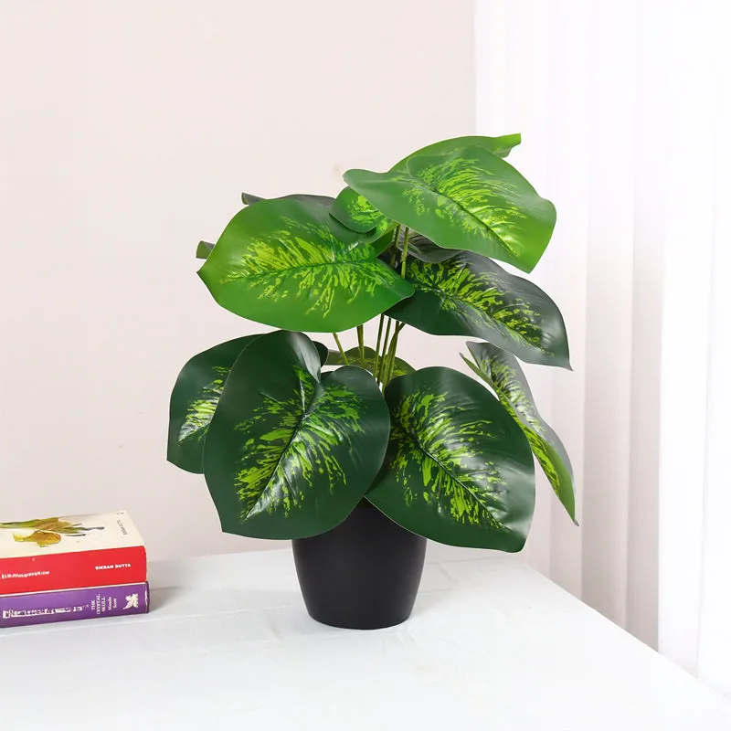 Differa Artificial Dieffenbachia Plant With Black Plastic Pot - Dark Green media 2