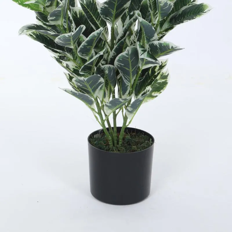 Faux Dumb Cane Plant With Black Plastic Pot - 2.79 ft media 4