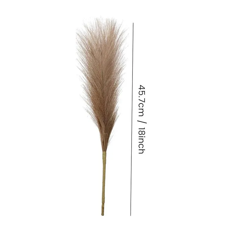 Single brown pampas stem shown with its length marked beside it