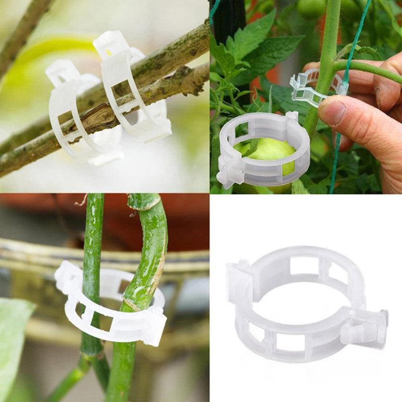 Plant Pro Garden Clip (White) - Set Of Hundred media 11