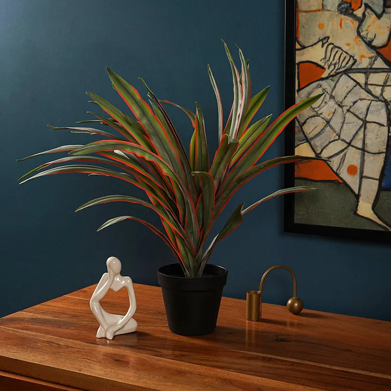 Cordia Artificial Cordyline Plant With Black Plastic Pot - 1.8 Feet media 2