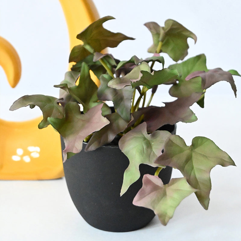 Ivella Artificial Mini Ivy Plant With Black Plastic Pot (Purple) - 14 cm media 5