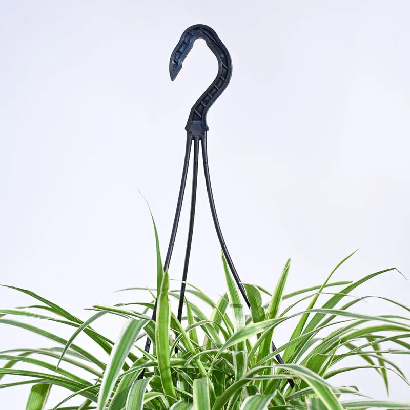 Ugaoo Spider Plant With Hanging Pot media 4