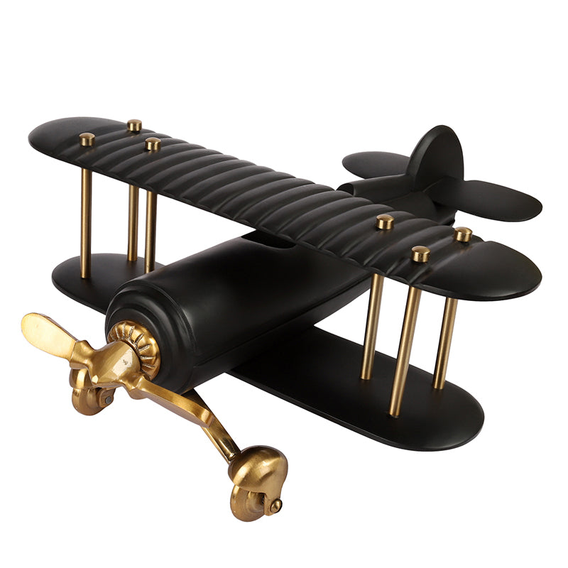 Raven Airplane Showpiece media 6