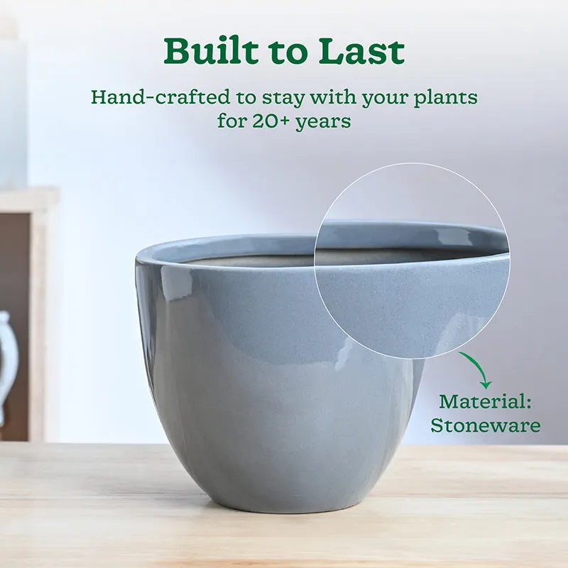 Ugaoo Cantata Ceramic Planter - Grey media 3