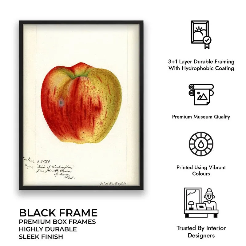 AppleHue Archival Canvas Wall Art - Black media 10