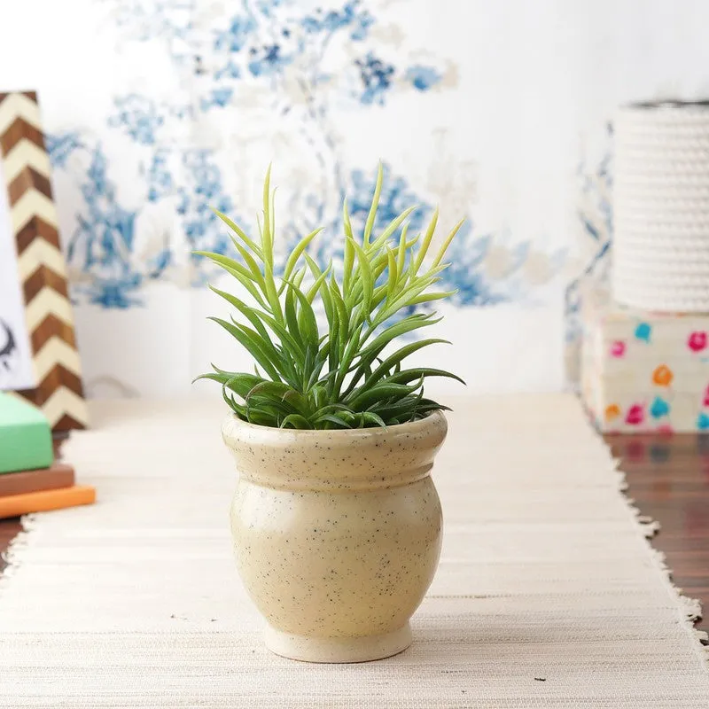 GoldenSprout Planters - Set Of Two media 5