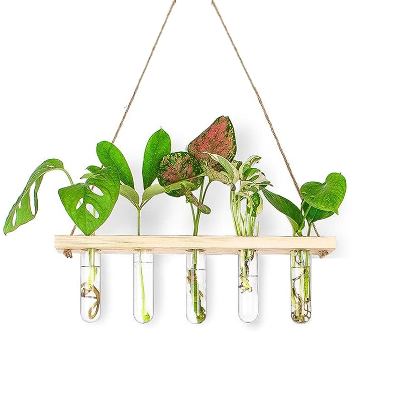 Arana Test Tube Planter