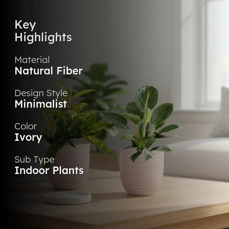 Greenkin Bamboo & Birkin Live Plants (Ivory) - Set Of Two media 2