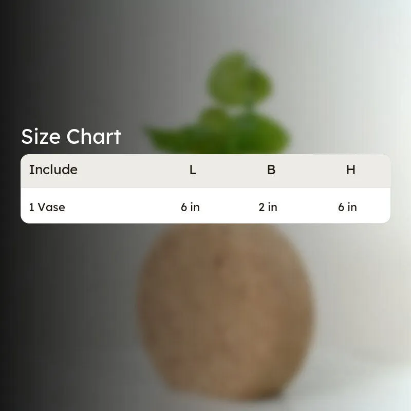 Sona Cork Testube Planter media 5