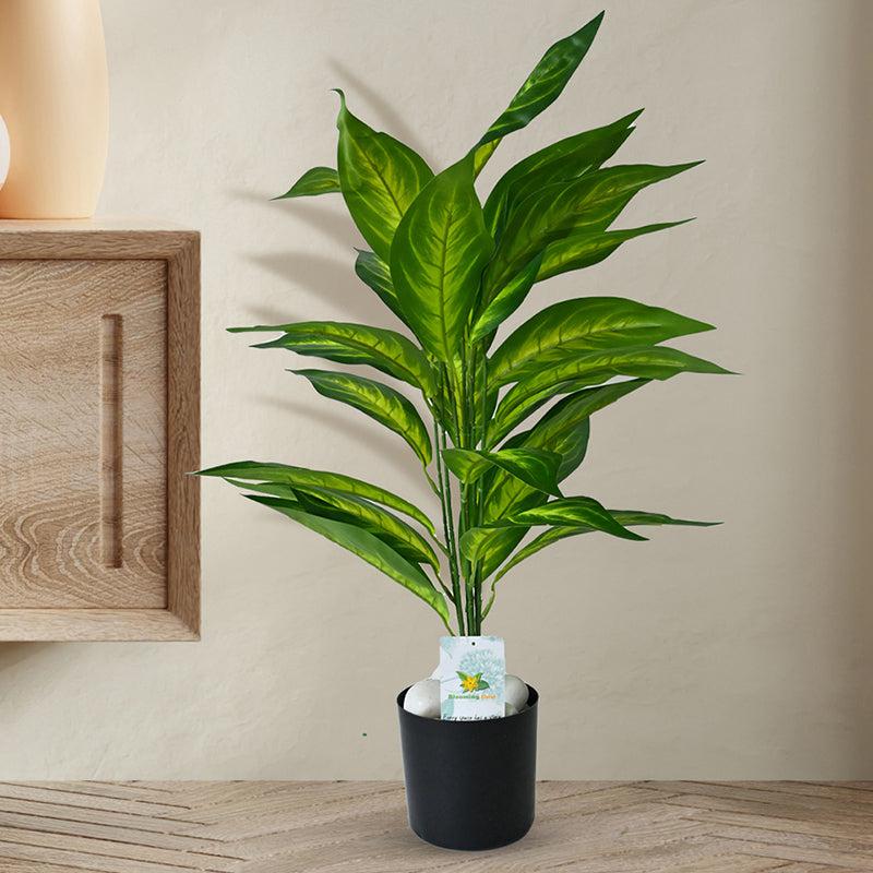 Faux Everlasting Dieffenbachia Amoena Plant With Black Plastic Pot - 71 cm (2.3 ft) media 3