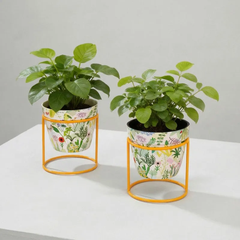 Glaze & Grow Metal Planters With Stand - Four Piece Set media 9