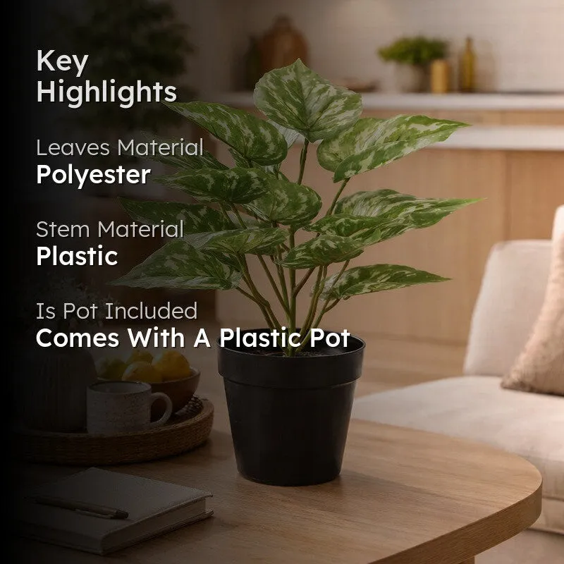 Neonix Money Artificial Plant With Plastic Pot - 1.2 Feet media 2