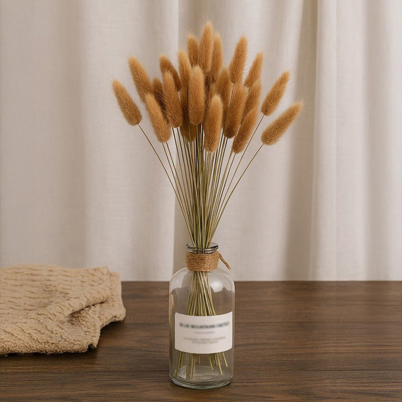 Dried Flowers & Leaves