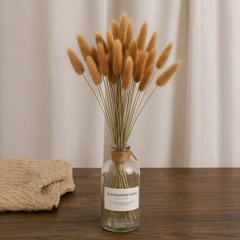 Cloudtail Dried Bunny Tail Stem (Beige) - Set Of Thirty media 1