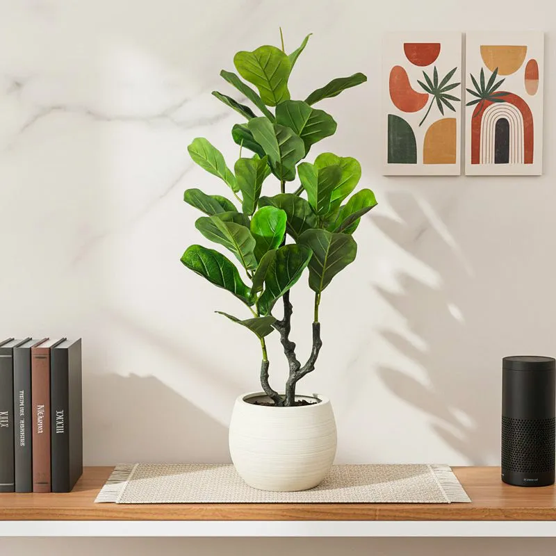 Fica Artificial Fiddle Fig With Black Plastic Pot - 3 Feet media 1