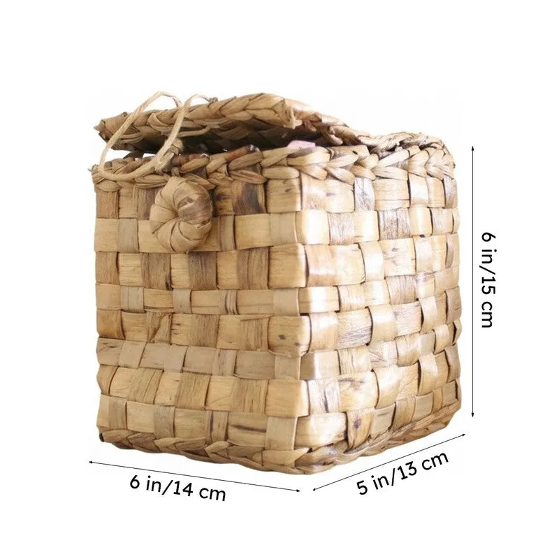NeatVault Storage Case media 8
