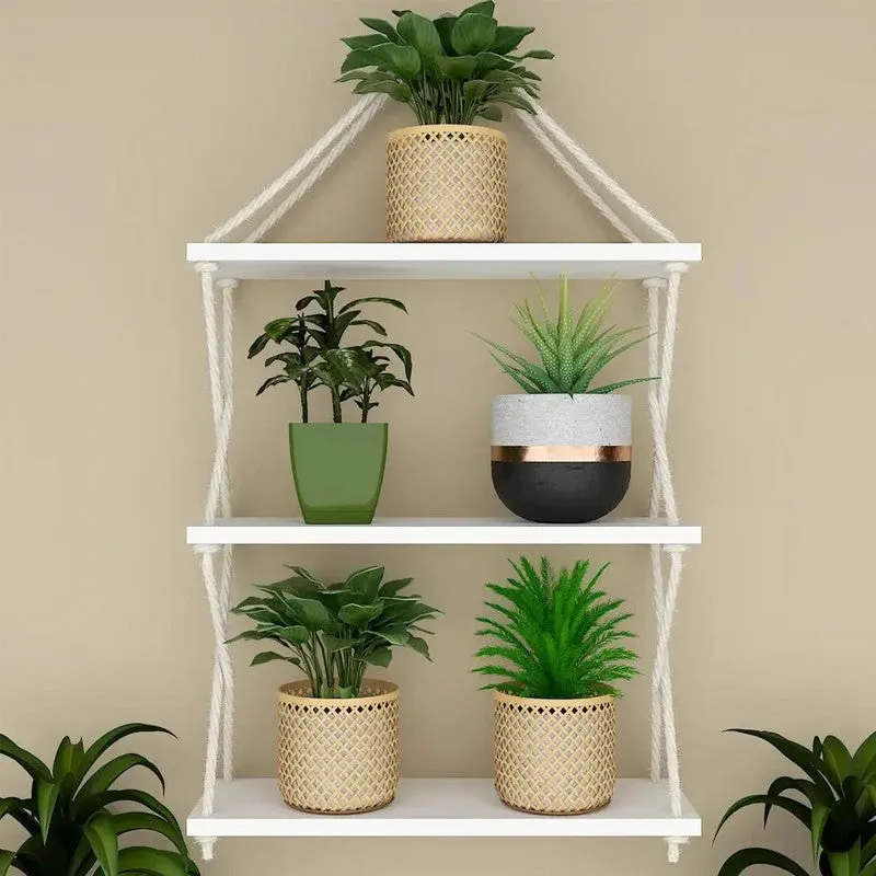 Chroma Ledge (MDF,Wood) Shelves media 1