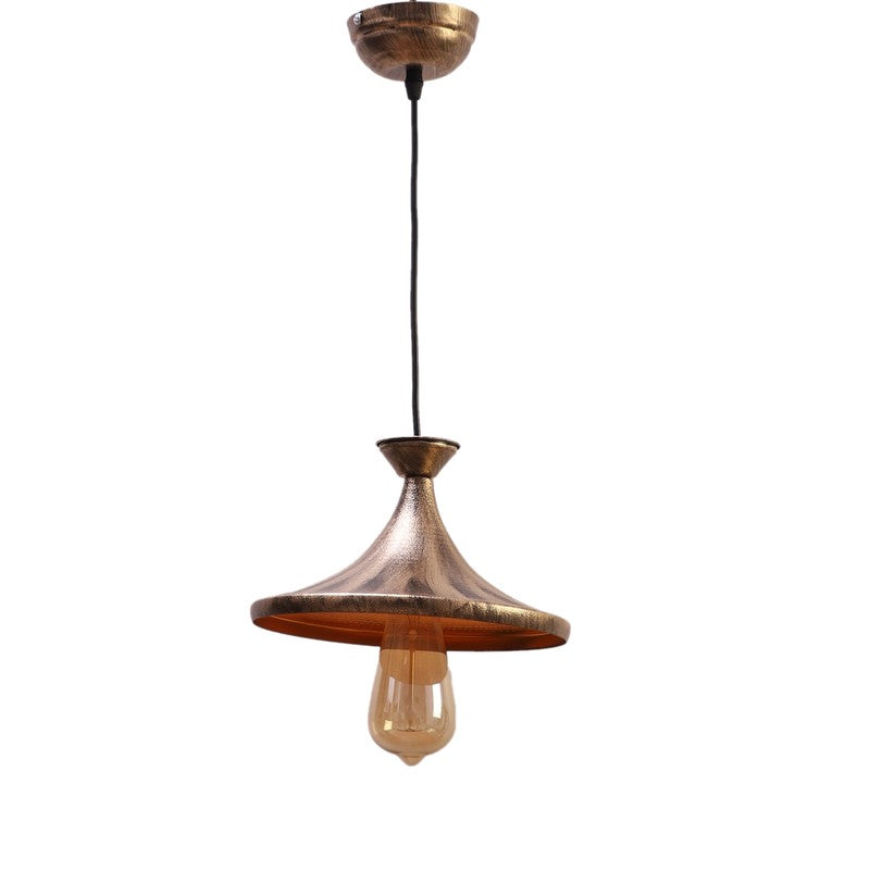 Antique Finish Iron Ceiling Lamp media 3