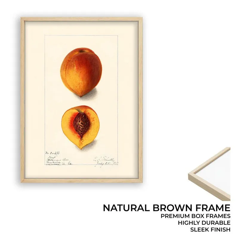 FruitAura Archival Canvas Wall Art - Brown media 9