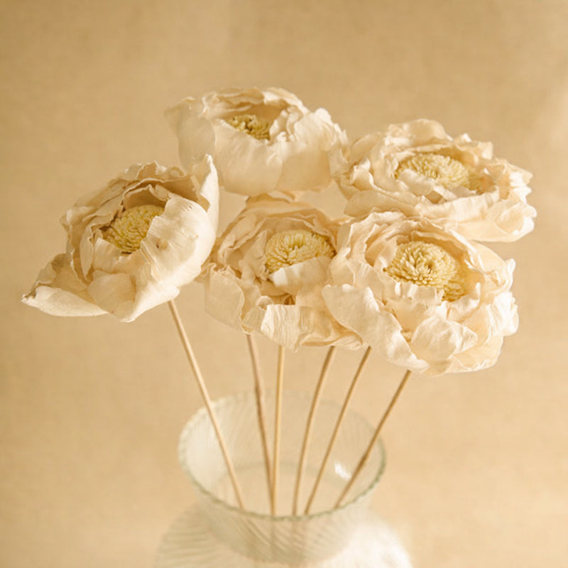 Peony