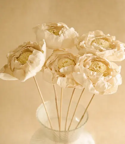 Dried Flowers & Leaves