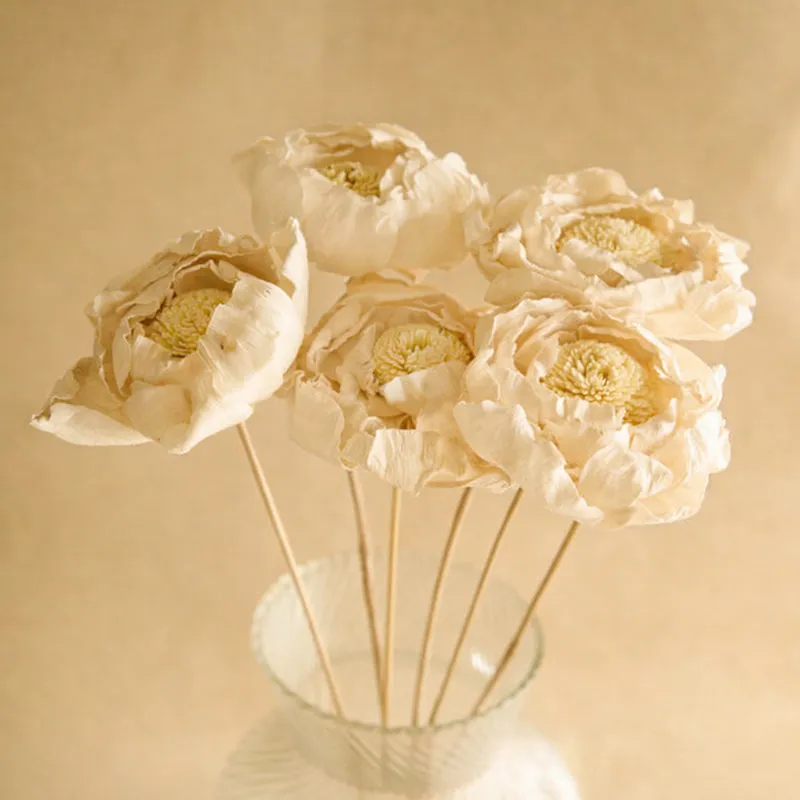 Natural Peony Handmade Dried Artificial Flower - Set Of Five media 1