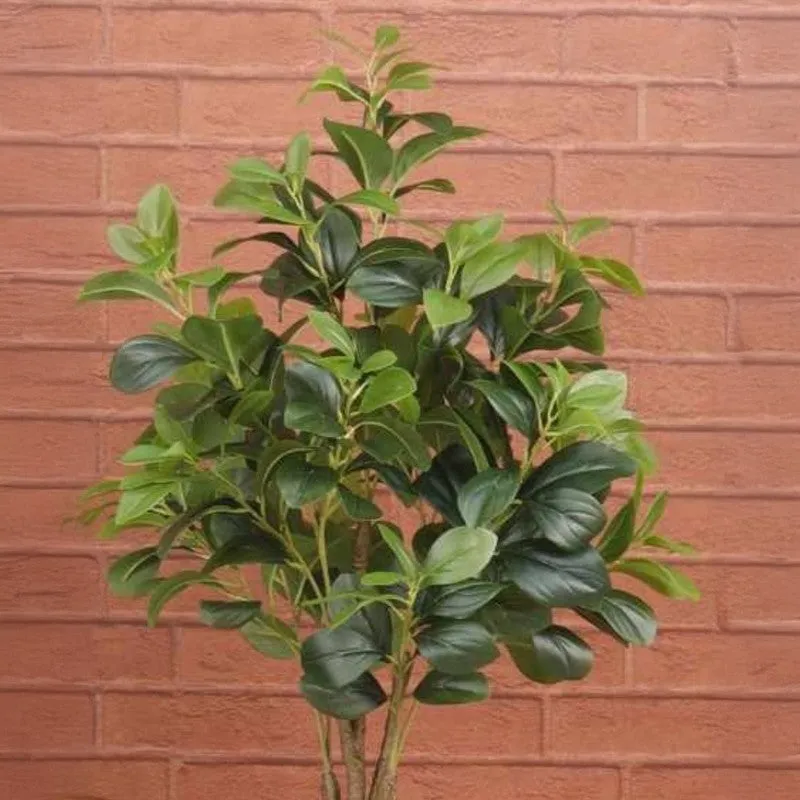 Peperomia Artificial Plant Without Pot - 3.9 Feet media 5