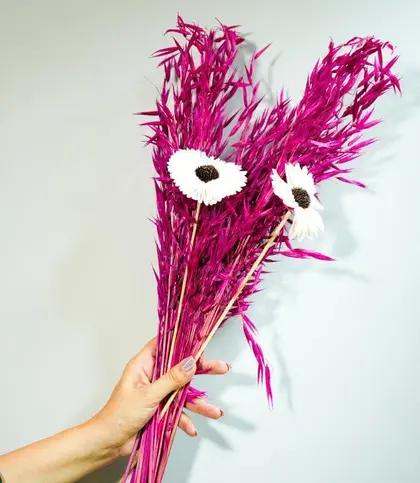 Dried Flowers & Leaves