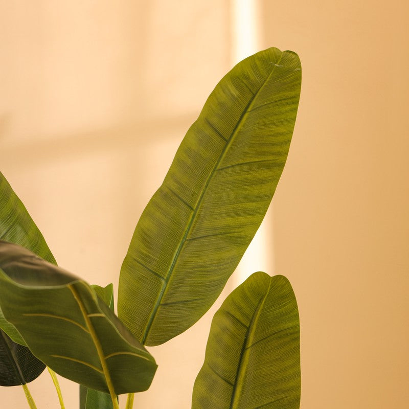 Artificial Banana Plant With Black Plastic Pot - 5 ft media 7