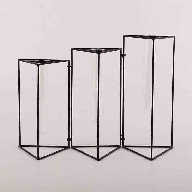 Trigonometry Testube Planter media 5