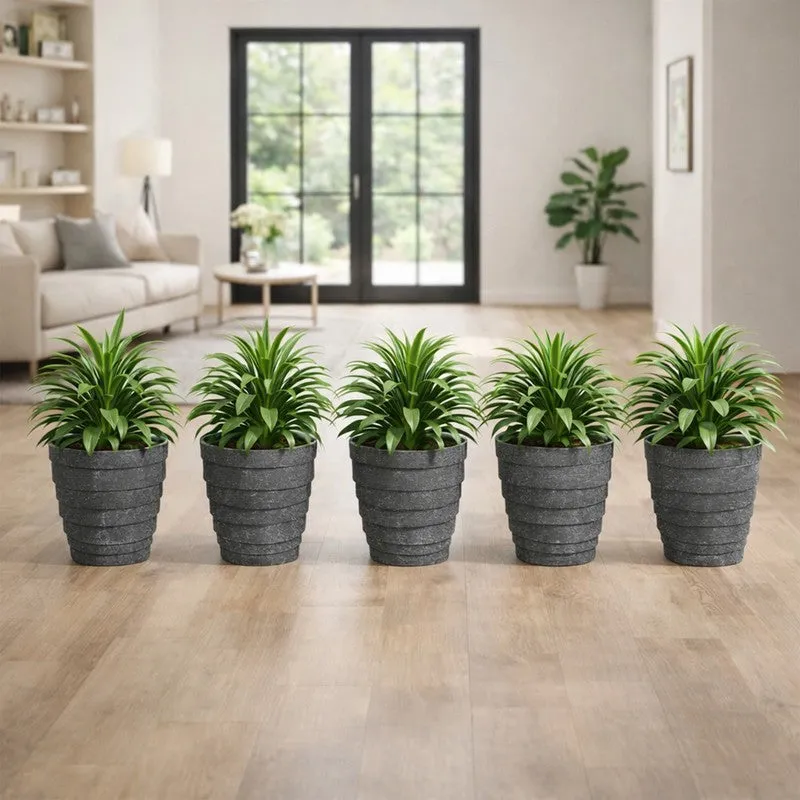Velora Planters (Grey) - Set Of Five media 4