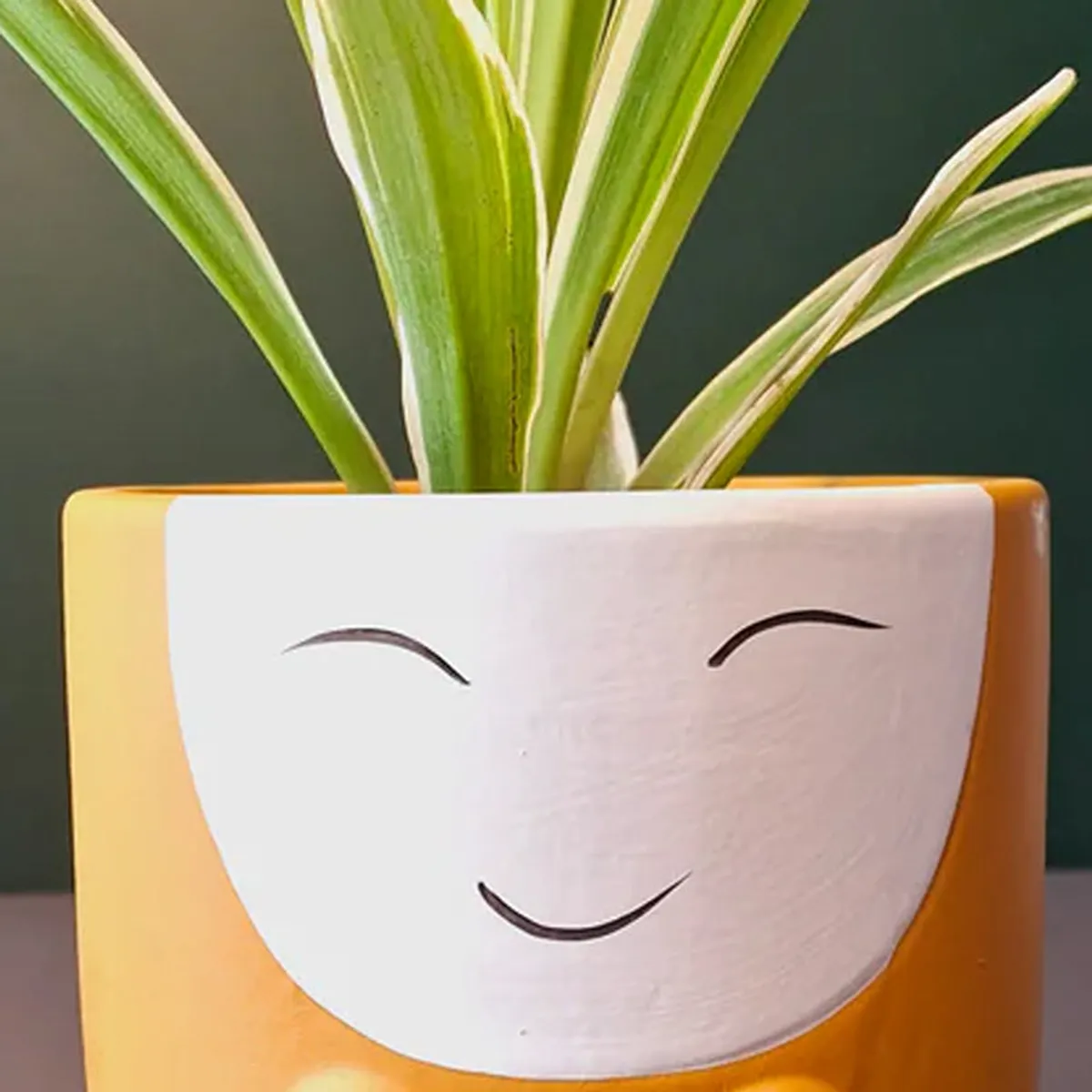 Close-up of orange planter with white smiling face and plant leaves