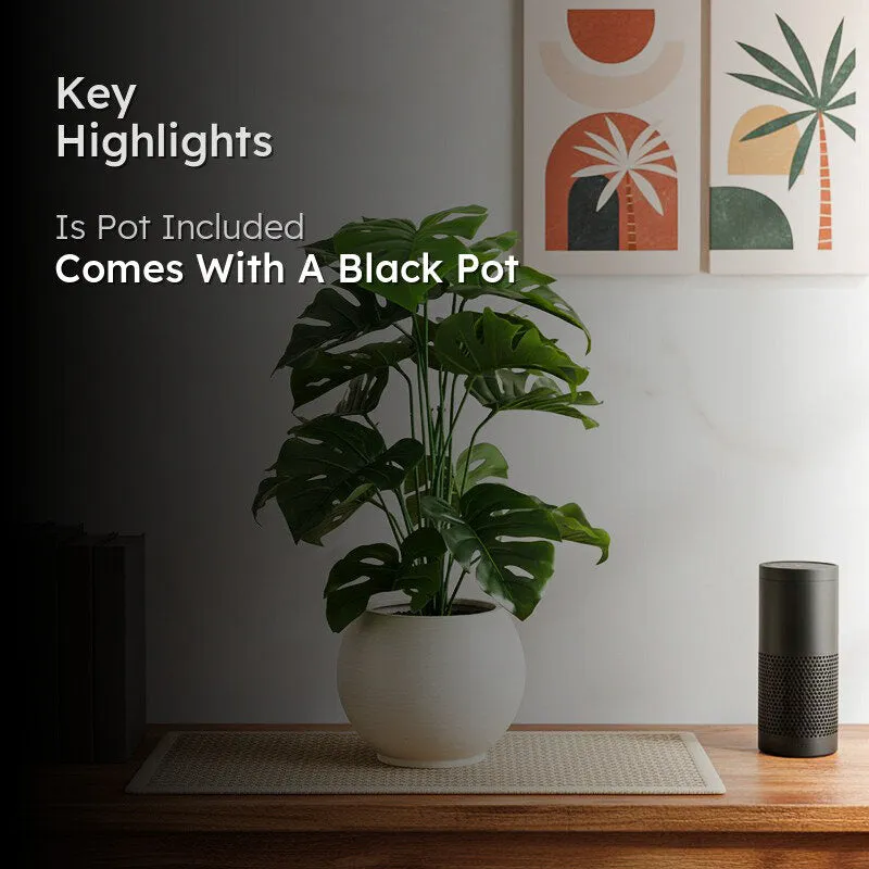 Monever Artificial Monstera With Black Plastic Pot - 2 Feet media 2