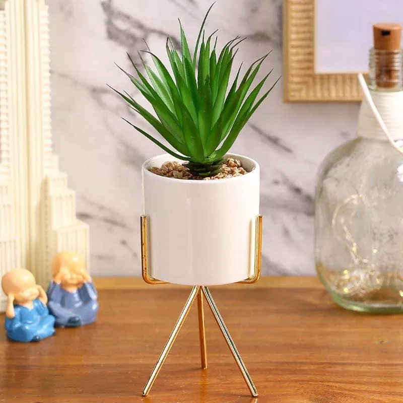 Faux Succulent Leaf In White Pot With Tripod - 24 cms media 1