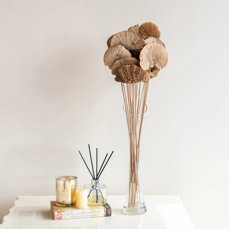 Leod Dried Sponge Mushroom Stick - Set Of Ten media 3