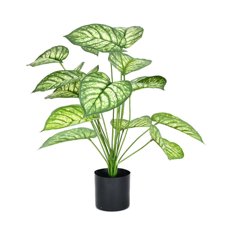 Faux Matura Rubber Plant With Black Plastic Pot - 2.13 ft media 4