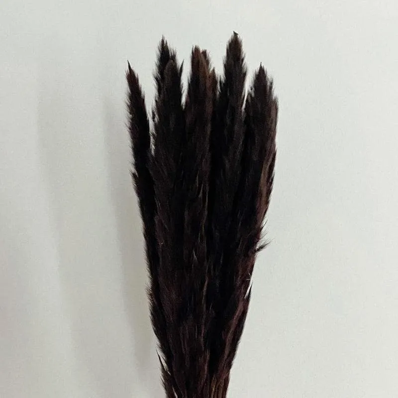 Mini Naturally Dried Pampas Stems (Black) - Set Of Ten media 3