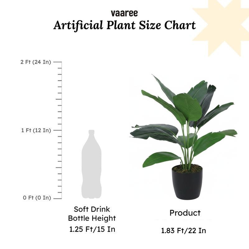 Faux Palm Bonsai With Black Plastic Pot (55 cms) - Set Of Two media 7