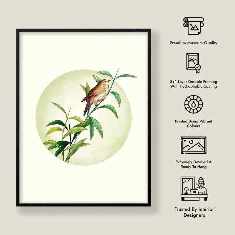 Birdsong Bliss Botanical Archival Paper Wall Art With Frame media 8