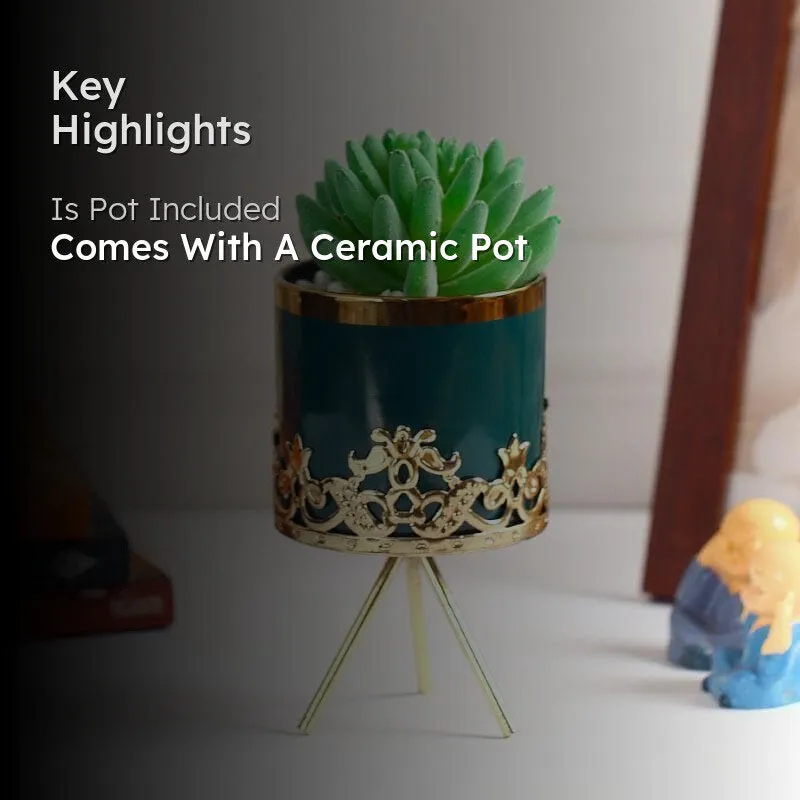 Faux Gasteria In Blue Ceramic Pot - 18 cms media 2
