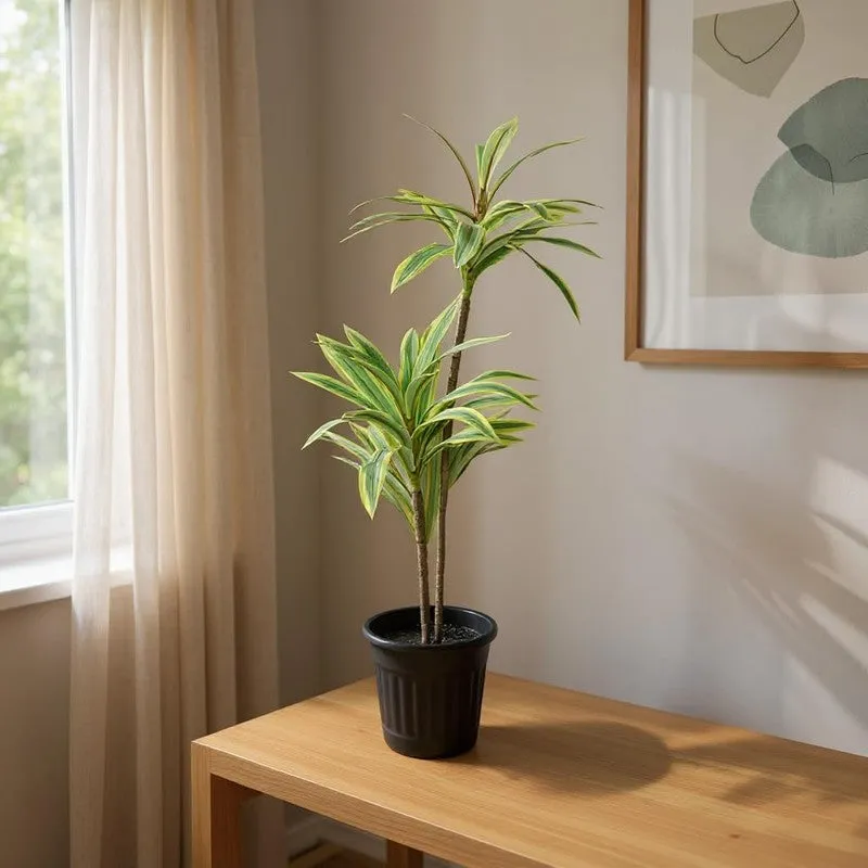 Soilyn Artificial Dracaena Plant - 2.5 Feet media 2