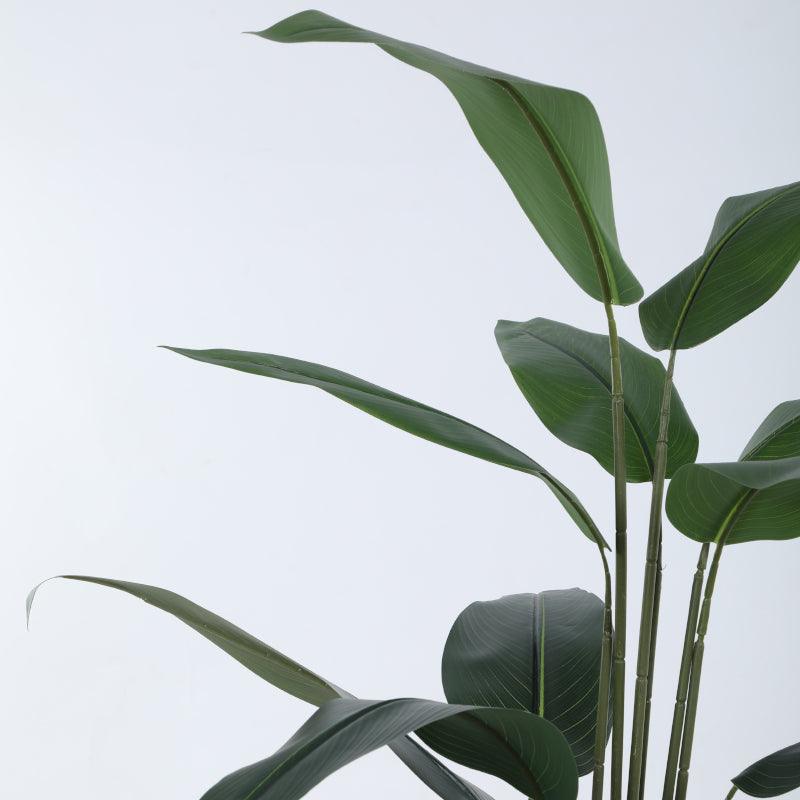Artificial Bird Of Paradise Plant With Basic Black Plastic Pot - 4.9 ft media 6