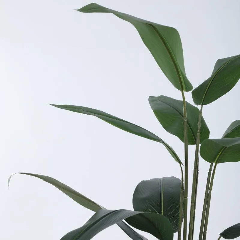 Artificial Bird Of Paradise Plant With Basic Black Plastic Pot - 4.9 ft media 6