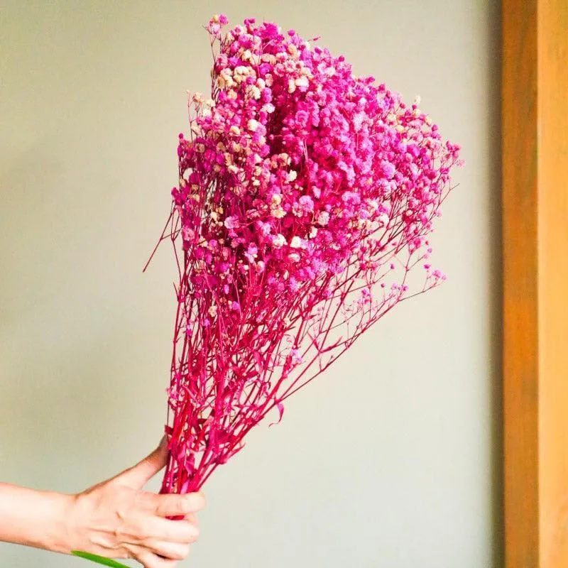 Naturally Dried Baby Breath Gypsophila Stems (Pink) - Set Of Five media 4