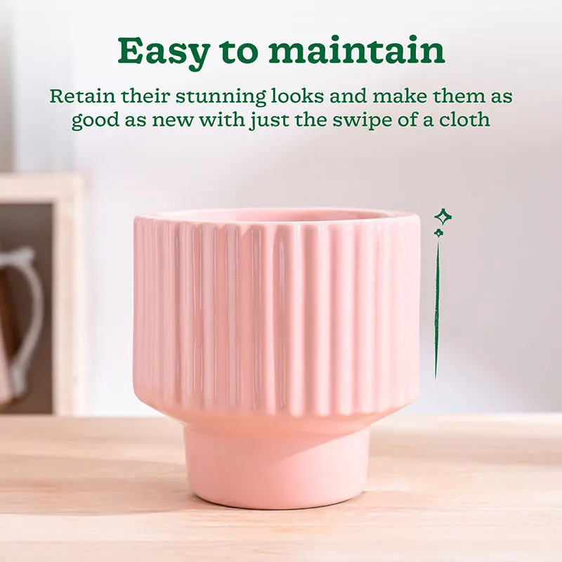 Ugaoo Classic Stria Ceramic Planter - Soft Pink media 4